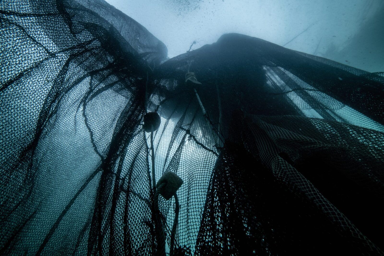 71d8f9cb4f4c5f2a9e2af46d426f47f2